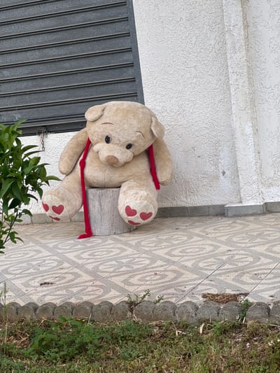 A large, light brown teddy bear with dark eyes and a reddish-brown nose is the central subject of this outdoor image. It wears a red cord or string around its neck, which also appears to be tied to something behind it. The teddy bear features red heart shapes stitched onto its paws.

The bear is positioned on a light-colored concrete ledge or step, with its back against a textured white wall. To the left of the bear, a dark grey, slatted metal gate or door is visible. To its right, a patterned pavement of light grey and white tiles extends into the midground. These tiles feature a swirling, repetitive design. This paved area is bordered by a row of rounded, grey stone elements, beyond which lies a strip of green grass and weeds. In the lower left foreground, a leafy green plant, possibly a citrus tree, partially obscures the lower section of the teddy bear and the gate.

The scene is brightly lit by natural daylight, suggesting clear and sunny weather. No people are visible, and the bear appears to be stationary, possibly placed as an outdoor decoration. The architectural and landscaping elements, such as the textured wall and patterned tiles, evoke a Mediterranean setting, consistent with the location context of Γερακινή, Greece. There is no visible text in the image.
