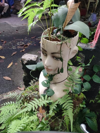 A partially broken mannequin head, repurposed as a planter, sits outdoors amidst lush greenery in Bedulu, Indonesia. The mannequin is off-white with realistic painted features. It is filled with various plants, including ferns and broad-leafed species. Vines trail down the sides of the head. The mannequin is surrounded by more plants and moss-covered stones. The background includes a paved area scattered with fallen leaves, with a partially visible group of people seated at a wooden table in the upper left corner. A decorative lamp is also visible in the background to the right.