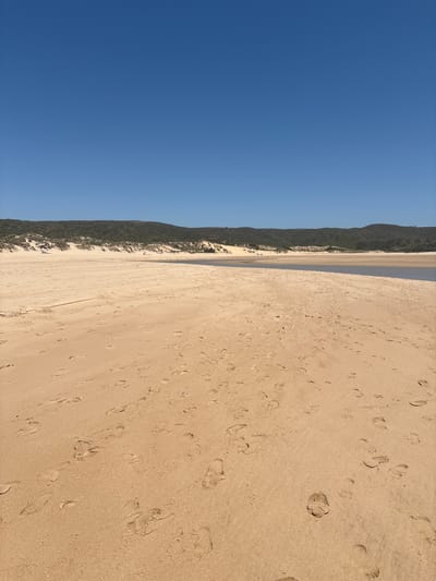 This vertical image presents a sunlit, expansive sandy beachscape in Aljezur, Portugal, under a clear, cloudless blue sky that occupies the upper third of the frame. A continuous line of low, vegetated hills, covered in dense green scrub and sand dunes, stretches across the horizon. A calm body of dark water, consistent with a river or estuary, flows from the right edge of the midground towards the center-left, defining a sandy spit. On the far sandy bank, nestled against the base of the vegetated hills, a small red object (likely a towel or sunshade) is visible on the left, with a fainter light blue object further to the right, indicating distant human presence. The foreground and midground consist of light tan sand, extensively covered with numerous distinct human footprints of varying sizes and depths. No individuals are explicitly depicted in the immediate scene. The environment appears dry, natural, and undeveloped.