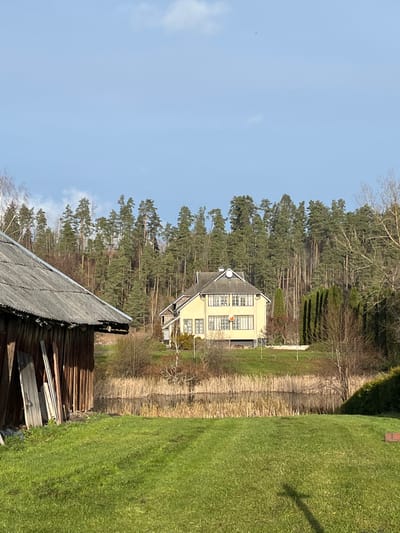 The image displays a rural scene in Strigailiškis, Lithuania, under a clear blue sky with sparse white clouds. In the foreground, to the left, a portion of an weathered wooden outbuilding or shed with a grey corrugated roof is visible, against which several wooden planks lean vertically. The immediate ground consists of bright green grass, exhibiting parallel dark linear patterns, possibly tire tracks or mowing lines.
Proceeding into the midground, a dark, reflective body of water is present, partially bordered by a dense growth of dry, light brown reeds or cattails. Beyond the water, a two-story residential structure, painted a light yellow or cream color, stands on elevated ground. This house features a grey tiled roof with several dormer windows and a distinctive round, clock-like architectural element centered at the roof's peak. Multiple windows are visible on its facade, and a small, white satellite dish is affixed to an upper-story wall. Tall, dark green conifer trees are planted adjacent to the house, and other deciduous trees, currently bare, are scattered around the property.
The background is dominated by a dense, ascending forest composed primarily of tall, slender evergreen trees, indicative of a natural woodland on a hill or rise. The scene is illuminated by direct sunlight, casting shadows on the grassy foreground. No individuals are visible.