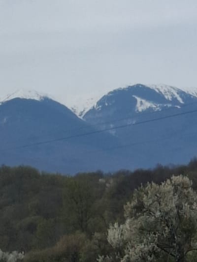 The image shows a mountain partially covered in snow, likely located in Komarevo, Bulgaria. The lower slopes of the mountain are covered in trees. The sky is cloudy. A power line is visible against the mountain slope.