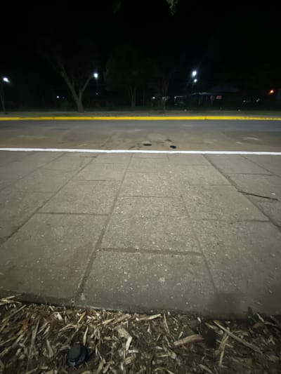 A nighttime view of a paved area. Adjacent to the pavement is a strip of road marked with yellow and white lines. Streetlights illuminate trees in the dark area beyond the road. The edge of the pavement meets a bed of mulch, with a circular object visible within the mulch. The perspective is angled, giving the pavement a tilted appearance.