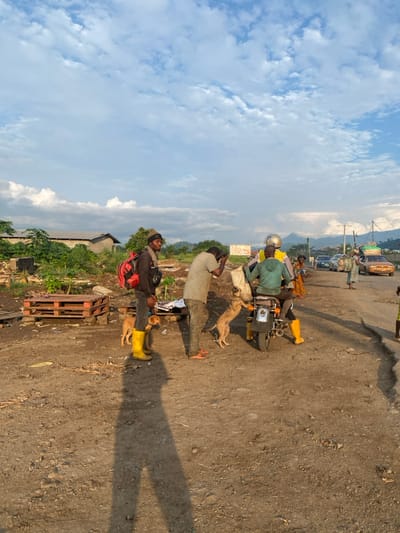 Two men stand near a motorbike while being circled by three dogs. One man is wearing yellow boots, a dark shirt, and a backpack. The other man is barefoot and has a light shirt. The motorbike is ridden by a person in a green shirt and helmet. The background includes a dirt road, lush vegetation, and a cloudy sky. Other pedestrians and cars can be seen in the distance, suggesting this could be a busy street.