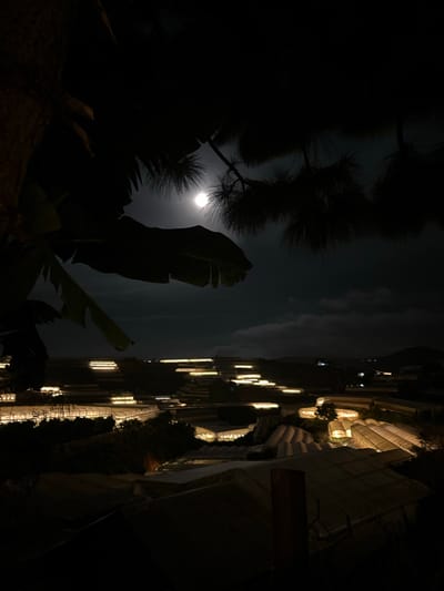 The image captures a nighttime scene of a sprawling greenhouse complex in Đa Quý, Vietnam, likely a strawberry farm given the region's reputation. The moon is visible in the upper center of the frame, partially obscured by dark, silhouetted foliage in the foreground, which appears to be from a tree and possibly banana leaves. The greenhouses themselves are illuminated from within, casting a warm, golden glow that highlights their structures against the dark, cloudy sky. The complex is situated on a hilly terrain, with the illuminated greenhouses cascading down the slopes, creating a pattern of light and shadow. In the distance, faint lights suggest the presence of other structures or settlements on the hills. The overall impression is one of a vast agricultural operation bathed in the ethereal light of the moon and its own artificial illumination, creating a serene yet industrious atmosphere. There are no people or animals visible in the frame.