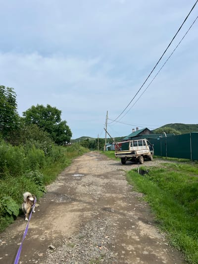 The image depicts a rural scene, likely on the outskirts of Reineke, Russia. A dirt road, strewn with gravel and featuring several puddles, stretches into the distance. On the left side of the road, lush green foliage and trees dominate the landscape. On the right, a weathered white pickup truck is parked alongside a tall, green corrugated metal fence. Beyond the fence, houses with green roofs are visible, nestled against rolling, tree-covered hills under a cloudy sky. A utility pole with visible power lines stands near the truck. In the foreground, a dog with a brown and white coat is walking on a purple leash, facing away from the viewer and towards the dirt road.