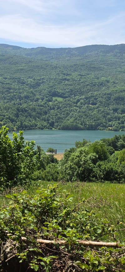 The image captures a scenic view of a lake surrounded by lush green forest, likely located in Sahún, Spain. The water is a greenish-blue hue, reflecting the sky and surrounding trees. A dense forest covers the hillside across from the camera, sloping down to the water's edge. In the foreground, there are various plants and trees, partially obscuring the view of the lake. A small dock or platform extends into the water. A partial sky is visible on the left side of the image.