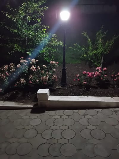 The image depicts an outdoor scene at night, illuminated by a streetlamp. The foreground shows a paved walkway with circular stone pavers. A raised concrete border separates the walkway from a flowerbed. The flowerbed contains several bushes with pink flowers and green leaves. Behind the flowerbed, there are trees with green foliage. A black lamppost with a glowing light fixture stands in the middle ground. The overall environment suggests a park or garden area in a city. There are no people or animals visible in the image. The lighting is dim, with the streetlamp casting a bright glow and creating shadows.