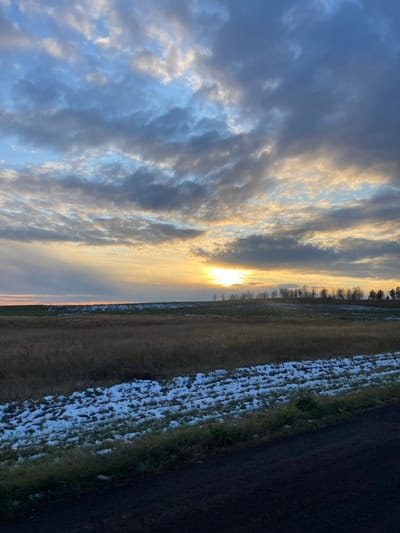 The image presents an outdoor landscape located near Sheragul, Russia, at either sunrise or sunset. The upper two-thirds of the frame are dominated by a sky filled with a dense, textured cloud layer exhibiting hues of blue, grey, and white. A prominent, bright orange-yellow light source, consistent with the sun, is visible just above the horizon, slightly right of center, partially obscured by clouds and emitting discernible light rays.
The midground features gently rolling terrain. A large field of dry, brown, dormant vegetation, likely tall grasses or stubble, occupies the central portion. Further back, on an elevated section, is a field with irregular patches of white snow interspersed with darker ground. A linear formation of bare deciduous trees with dark trunks and branches extends along the horizon from the sun's vicinity towards the right edge of the frame, with denser evergreen trees visible on the far right.
The immediate foreground displays a strip of ground covered with fragmented patches of white snow. Below this, a narrow band of sparse green vegetation is present. The lowest portion of the image reveals a dark, unpaved surface, consistent with a dirt road or roadside embankment. No human figures, animals, or man-made structures are present within the depicted scene. The conditions suggest a transition season with partial snow cover.