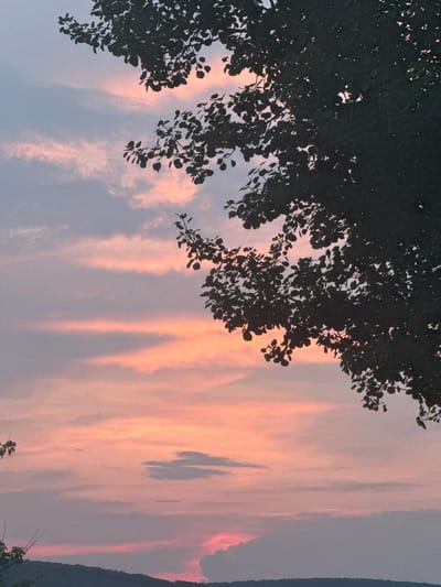 The image captures a sunset in Pavliv, Ukraine. Silhouetted against a sky painted with hues of pink, orange, and purple, a cluster of tree branches with dark leaves occupies the upper right portion of the frame. Wispy clouds are stretched horizontally across the sky, reflecting the warm colors of the setting sun. Below the sky, a dark, undulating silhouette of hills or mountains forms the horizon. The overall scene evokes a tranquil and serene natural landscape.
