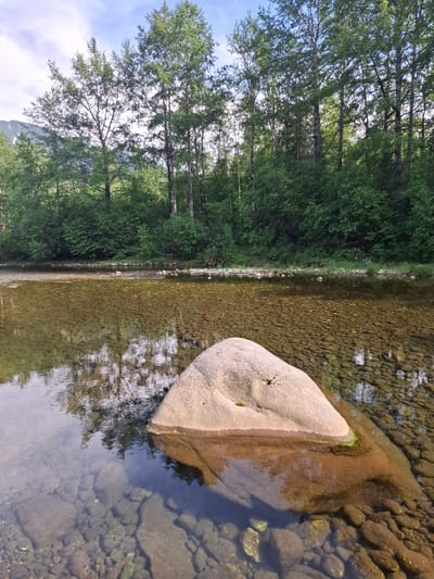 A large, light-colored boulder rests in the shallow, clear water of a river. The riverbed is visible through the water, covered in small, smooth pebbles. The water reflects the surrounding trees and a partly cloudy sky. On the far bank, a dense forest of green trees lines the edge of the river. In the distance, the faint outline of a mountain range can be seen under the sky. The scene is peaceful and natural, suggesting a remote location. This scene is located in Vydrino, Russia.