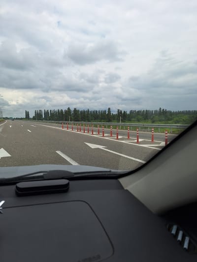 The image shows a view from the inside of a car driving on a highway. The highway has multiple lanes marked with white arrows, and on the right side, there is a row of orange traffic cones with white reflective stripes. Beyond the highway, there is a metal guardrail, followed by a line of tall, slender trees forming a dense forest. The sky is overcast with heavy clouds. In the foreground, part of the car's dashboard is visible, including a black oblong object on the dashboard and the edge of the windshield. A sign is visible in the distance on the left side of the highway. The location is identified as being in the city of Lanchkhuti, Georgia.