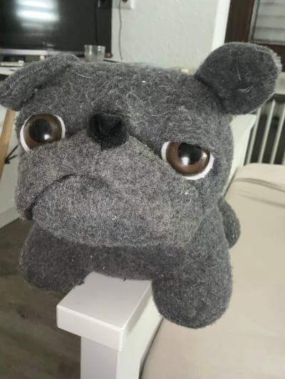 The media file shows a close-up, slightly tilted, head-on view of a gray stuffed dog toy. The toy has large, round, brown eyes with white rims, a small black nose, and two round, floppy ears. Its body is made of a soft, textured gray fabric, and some light-colored fuzz or dust is visible on its surface. The toy appears to be lying on its side, with its head propped up.
In the background, the toy is positioned on a white surface, possibly a shelf or a table, which has a clean, modern design. To the left of the toy, a dark, reflective surface, likely a screen or a piece of furniture, is visible. Further back, there are hints of indoor lighting and blinds, suggesting an indoor setting.
No people are visible in the frame. The lighting appears to be artificial, casting soft shadows and highlighting the texture of the toy. The overall impression is of a casual, domestic setting. There is no visible text in the image. The image does not provide information about the time of day, weather, or specific emotions, other than the inanimate nature of the toy. The location context of Olpe, Germany, does not offer any visual cues within the image itself.