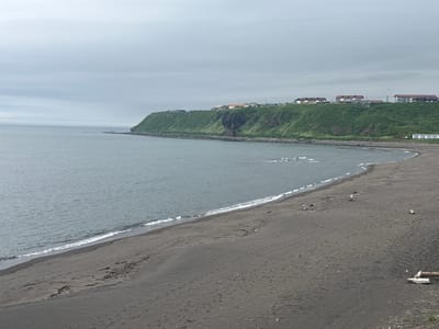 This is a photograph of a desolate, black sand beach on a cloudy day, located in Kuril'sk, Russia. The ocean stretches out to the left, meeting a rocky coastline in the distance. Along the top of the cliff overlooking the beach, several buildings are visible, with a cluster of houses and a few larger structures. The beach itself is largely empty, save for a few pieces of driftwood and several birds scattered across the sand. Footprints are visible in the dark sand, suggesting recent human presence. The overall scene is somber and windswept, conveying a sense of isolation and raw natural beauty.