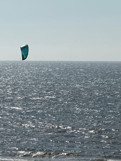 A turquoise and black kite is suspended in the air above a choppy, gray ocean. The kite is positioned in the upper left quadrant of the image, against a pale blue sky. The horizon line divides the image into the sky and the sea. The sea is a dark gray with white highlights reflecting the sunlight. The bottom of the image shows some blurred green vegetation, suggesting the vantage point is from land. The scene is indicative of a windy day suitable for kite surfing at the coast. The location is Zandvoort, Netherlands, a coastal town known for its beaches and water sports.