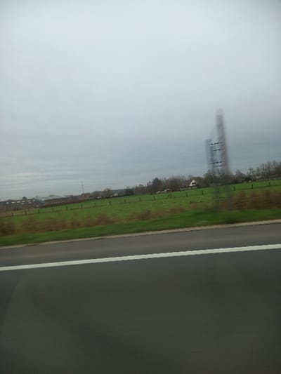 The image captures a landscape from a moving vehicle on an asphalt road in Waregem, Belgium, under an overcast grey sky. The foreground consists of a dark grey asphalt road surface with a solid white lane marking on its right edge. Immediately beyond the road is a narrow green verge, transitioning into a wider expanse of green pastureland with some brown patches, separated by a thin dark line, likely a fence. In the background, to the left, indistinct industrial or agricultural buildings with dark roofs are visible on the horizon. Centrally, a single residential dwelling with a light-colored facade and dark roof is situated amongst deciduous trees, most of which are bare, indicating a colder season. To the right, a tall, slender lattice structure, possibly a pylon or communication tower, appears vertically blurred, characteristic of motion. No individuals or specific actions are discernible within the frame.