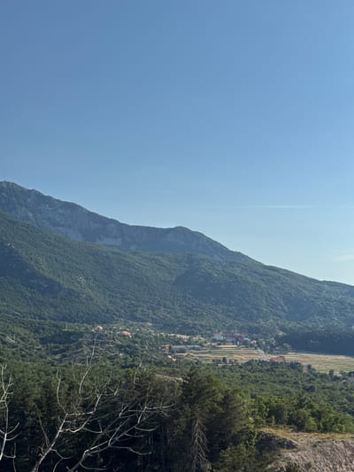 This is a vertical, eye-level, medium shot photograph of a mountainous landscape with a small village nestled in the valley. The sky is a clear, light blue, with a faint horizontal streak of a contrail in the upper portion of the frame. In the foreground, the branches of a barren tree with white limbs are visible. The middle ground is dominated by rolling, verdant green hills covered in dense trees. A small village with red-roofed buildings is scattered throughout the valley floor, surrounded by fields. In the background, large, rugged mountains with rocky outcrops rise majestically, their slopes also covered in trees. The overall scene depicts a serene, rural environment in a mountainous region, likely Bukovica, Montenegro, given the landscape's characteristics.