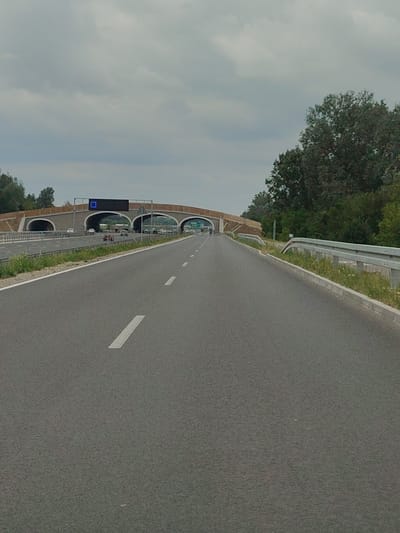 The image shows a highway leading towards a large overpass with multiple archways. The overpass appears to be a wildlife crossing, with vegetation on top and sloping sides. A large digital sign is mounted on the overpass, displaying a blue square. Several cars are visible on the highway, some passing under the overpass. The highway is paved and has white lane markings. The surroundings are green with trees and vegetation. The sky is overcast. This scene is located in Dębina, Poland.