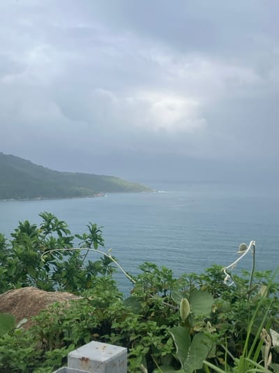 The scene depicts a coastal landscape in Sơn Trà Ward, Vietnam, under an overcast sky. The upper frame features thick grey clouds with a central brighter patch of diffused light. The mid-ground reveals calm, deep blue-green sea waters, with subtle ripples visible across the surface. A forested mountainous coastline, densely covered in green vegetation, extends from the left and recedes into the distance. A small bay within this coastline contains several visible structures. The foreground is composed of lush green foliage, a prominent light brown rock on the left, and a grey rectangular metal post in the lower-left. No individuals are present, and no active interactions are depicted.
