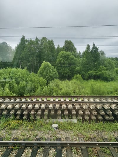 The image shows a view from a train window looking out at a forest and railroad tracks. The sky is overcast and gray. The foreground features two sets of railroad tracks with concrete and wooden ties. The tracks are surrounded by gravel and grass, with some small yellow wildflowers growing. Beyond the tracks, a dense green forest extends into the distance. The trees are varied in shape and size, with some appearing to be deciduous and others coniferous. Power lines are visible strung across the upper portion of the scene. The environment appears to be rural and natural.