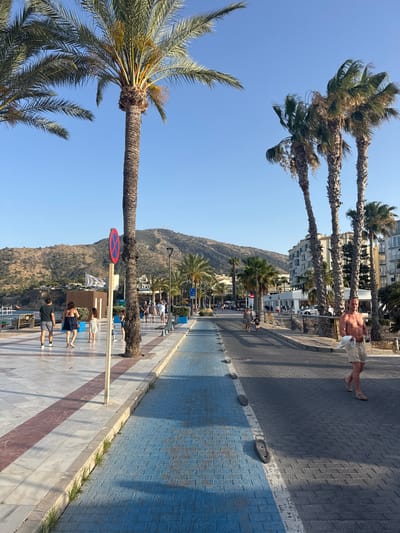 The image depicts a sun-drenched promenade in Pla Parcial Platja, Spain, characterized by a clear blue sky and lush palm trees lining the walkway. The promenade is divided into distinct pedestrian and bicycle lanes. The pedestrian lane, to the left, features a marble-like paving with a prominent reddish-brown stripe. Several people are seen strolling along this path, including a couple in the foreground walking away from the camera, a woman in a dark dress, and a child. Adjacent to the pedestrian lane is a marked bicycle path, distinguished by blue paving stones.

The roadway, to the right, is paved with dark grey bricks and is currently traversed by a man walking towards the camera. He is shirtless, wearing light-colored shorts and sandals, and carrying what appears to be a folded piece of paper or cloth. Further down the road, other pedestrians and buildings are visible, suggesting a lively urban environment. In the background, a chain of hills or mountains forms a natural backdrop, with some buildings nestled on their slopes and at their base. A prominent traffic sign, red and blue with a white center, stands near a large palm tree on the left side of the image. The overall scene conveys a sense of leisure and a typical seaside resort atmosphere.