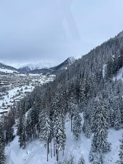 A high-angle, wide-view photograph depicts a snow-covered winter landscape overlooking the city of Davos, Switzerland. In the immediate foreground and extending through the right midground, a dense coniferous forest occupies the steep terrain, with numerous tall evergreen trees heavily laden with thick white snow. The ground beneath the trees is completely covered in a deep layer of pristine snow, exhibiting subtle contours. To the left midground, the urban expanse of Davos spreads across a valley floor and ascends the opposing slopes, featuring a multitude of multi-story buildings with snow-dusted roofs, indicating residential and commercial structures. Snow covers all visible ground surfaces within the town. The background consists of successive ranges of snow-capped mountains under a uniformly overcast, light grey sky. No individuals, specific actions, or vehicles are discernible within the frame. A faint reflection, possibly from a window or pane of glass, is visible in the upper right portion of the image.