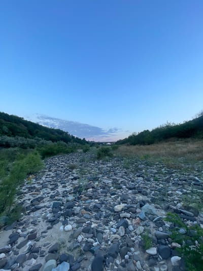 This is a vertical, wide-angle photograph taken outdoors. The scene depicts a rocky bank leading into a body of water, likely a river, with a tree-covered hillside on the left. The sky is clear and blue, with a few wispy clouds in the distance near the horizon, suggesting it's either early morning or late evening. The sun is not directly visible, but the soft light indicates it's near sunrise or sunset.

The foreground is dominated by a dense collection of various-sized, grey, and white stones, with some sandy patches visible between them. Small green plants are growing sporadically amongst the rocks. The middle ground features a steep incline covered with lush green trees and some dry, grassy areas. The distant horizon shows hints of a hazy sky and possibly some structures, but they are indistinct.

The overall mood is serene and natural, with the cool tones of the sky and stones contributing to a peaceful ambiance. There is no text visible in the image, nor are there any people or specific objects that draw attention, making it a landscape-focused photograph. The orientation of the image, with the sky at the top and the bank at the bottom, is somewhat unusual, as if the camera was tilted significantly.