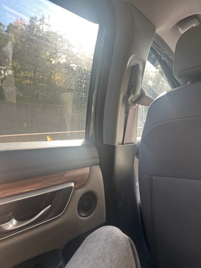 The image depicts the interior of a vehicle, viewed from a rear passenger's perspective, looking towards the front passenger side window and exterior. In the lower-left foreground, a human leg clad in light grey trousers is visible. The vehicle's interior features a beige/light grey door panel with a dark woodgrain accent, a metallic door handle, and a circular speaker grille. To the right, the back of a dark-colored passenger seat is visible, equipped with a beige seatbelt fastened into an adjustable anchor on the B-pillar. Outside the passenger window, which appears soiled with water marks and streaks, strong sunlight creates glare. Beyond the glare, deciduous trees are partially visible, along with a dark grey concrete barrier or wall parallel to the vehicle. A single yellow leaf rests on the exterior ledge of the window or the top of the barrier. The scene is located in Newton, United States.