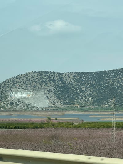 The image depicts an expansive rural landscape near Tire, Turkey, captured from a low-angle perspective, likely from a roadway.
The upper half of the frame is dominated by a large, irregularly shaped hill, densely covered with dark green, rounded scrub vegetation. On the left flank of this hill, an active quarry operation is evident, revealing multi-layered, light gray rock exposures and a substantial accumulation of lighter-toned excavated material at its base. Two pieces of white or pale-colored heavy machinery are present within the quarry.
Below the hill, a broad body of dark blue-green water, consistent with a lake or marshland, extends across the midground. Patches of light green and brown marsh vegetation are visible along its edges and within the water. A narrow land strip at the base of the hill, behind the water on the right, shows indistinct structures and a faint road. A prominent, galvanized steel lattice power transmission tower stands on the right, positioned between the water and foreground fields.
The foreground features extensive agricultural fields. Closest to the viewer, a large cultivated area presents a blanket of light purple-pink flowering plants, indicative of an orchard in bloom. A distinct band of vibrant green vegetation separates these fields from the water body.
A light-colored, horizontal road barrier occupies the bottom portion of the image. The pale blue sky contains sparse, wispy clouds and a diagonal light reflection in the upper left, suggesting the photograph was taken through a glass surface. No individuals or direct human actions are observable.