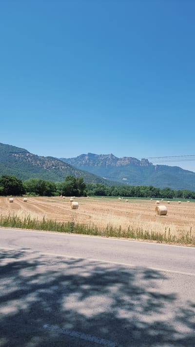 The image depicts a sunlit rural landscape under a clear blue sky, likely taken in La Vall d'en Bas, Spain. In the foreground, a paved road shows dappled shadows cast by unseen trees, suggesting a warm, sunny day. The road is bordered by a strip of dry grass and foliage. Beyond the road, a vast field of harvested grain, evidenced by numerous round bales of hay scattered across the golden stubble, stretches towards a line of lush green trees. Further in the background, rolling, tree-covered hills rise, culminating in a rugged, layered mountain range with distinct rocky outcrops. Power lines are visible stretching across the landscape in the mid-distance. No people are present in the scene.