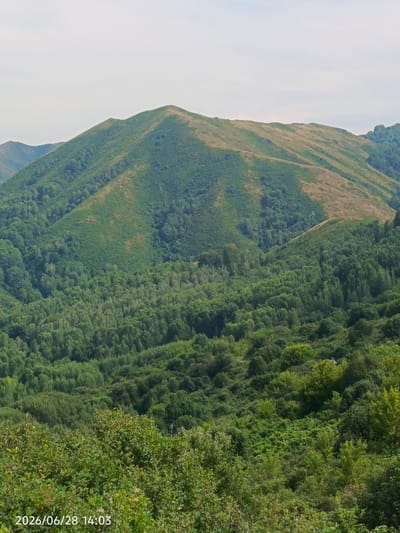 The image depicts a panoramic view of a mountainous landscape covered in dense green forests. The sky is overcast with a pale, diffused light. In the foreground, lush green bushes and trees dominate, with a date and time stamp of "2026/06/28 14:03" visible in the bottom left corner. Further into the distance, rolling hills and a larger mountain are visible, also densely forested with varying shades of green. A portion of the main mountain's upper slope shows a patch of dry, brown grass, suggesting a transition in vegetation or a drier area. The overall environment is natural and rural, characteristic of a mountainous region. The location is identified as Tarhanka Rural District, Kazakhstan. There are no people or specific structures visible in the image.