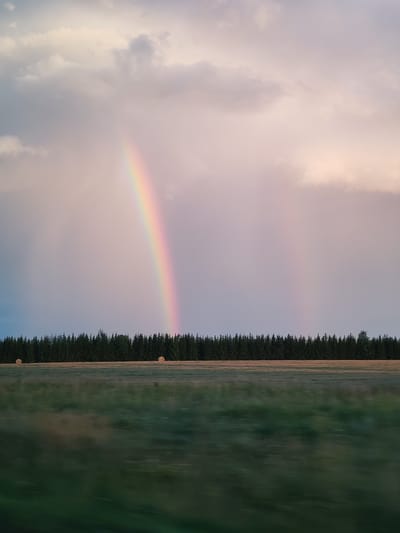 A vertical, outdoor photograph captures a rural landscape with a rainbow arcing across a cloudy sky over a field and a line of evergreen trees. The foreground is a blurry green field, suggesting movement. Behind the field, a dense line of dark green trees stretches horizontally across the image. Two round hay bales are visible in the field just in front of the treeline. The sky is filled with soft, muted clouds, predominantly in shades of gray and pink. A prominent rainbow, a spectrum of colors, is visible on the left side of the sky, with a fainter, secondary rainbow appearing to its right. The scene is set in the city of Syr'ezshur, Russia.