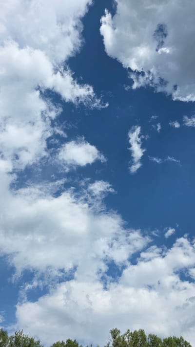 A vertical, medium shot captures a bright, partly cloudy sky above a dense line of green trees. The sky is a vibrant blue, punctuated by scattered white cumulus clouds of varying sizes and densities. Some clouds are wispy and translucent, while others are more substantial and opaque, casting subtle shadows on themselves. The treeline forms a dark, textured band along the bottom edge of the frame, suggesting a natural landscape or park area. There are no people or discernible man-made structures visible in the frame. The scene appears to be an outdoor daytime view.