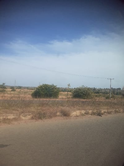 The image displays an outdoor scene in Barakin Kuru III, Nigeria, under a blue sky with scattered white clouds, transitioning to a hazy light blue near the horizon. In the immediate foreground, a dark grey asphalt road occupies the bottom third of the frame. Adjacent to the road, a concrete curb separates it from a dirt shoulder covered in dry, light brown vegetation and sparse grasses. Further into the midground, the terrain consists of dry, reddish-brown earth with scattered patches of similar vegetation. Two distinct, bushy green trees or large shrubs are prominently situated in the midground. On the right side, a utility pole stands vertically, from which multiple thin wires extend horizontally across the upper midground. A distant, faint tower or tall structure is visible on the far left horizon. No individuals or discernible activities are present in the frame.
