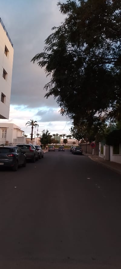 This image depicts a quiet street scene in Aïn El Aouda, Morocco, observed during what appears to be the late afternoon or early evening. The sky is partially cloudy, showing soft blue and pink hues through the grey.
The asphalt road stretches into the distance, lined with parked cars on both sides. On the immediate left, a dark grey Renault Clio is parked, displaying the Moroccan license plate "أ 81216". Several other vehicles, including an SUV and various sedans/hatchbacks, are parked further down the street.
To the left, a modern, white multi-story building with dark rectangular windows and a dark railing on its rooftop is prominent in the foreground. Further along the left side, a lower, traditional white building with ornate window frames is visible. On the right, a large, dark-leaved tree dominates the foreground, its dense foliage obscuring part of the sky. Beyond the tree, a low white wall or fence borders the street, and a red circular sign, likely indicating "no parking" or "no stopping," is visible.
In the mid-ground, numerous palm trees and other green foliage are scattered, suggesting a warm climate. A few people can be seen walking in the distance, adding a subtle element of activity. The scene presents a calm, everyday view of a street, possibly in a residential or resort area.