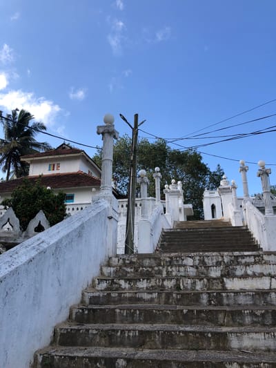 This is a medium-shot, eye-level, outdoor photograph taken in Pilana, Sri Lanka. The image captures an ornate, white-washed stone staircase leading up to a building with a red-tiled roof. The staircase is flanked by decorative white pillars topped with globes. The building behind the staircase is also white with blue and rainbow-colored windows and features intricate white decorative elements. Lush green trees and palm trees are visible in the background, with a clear blue sky overhead. Power lines are strung across the upper portion of the frame. The overall scene suggests a place of worship or a significant historical site, characterized by its detailed architecture and serene, tropical environment. There are no people visible in the image.