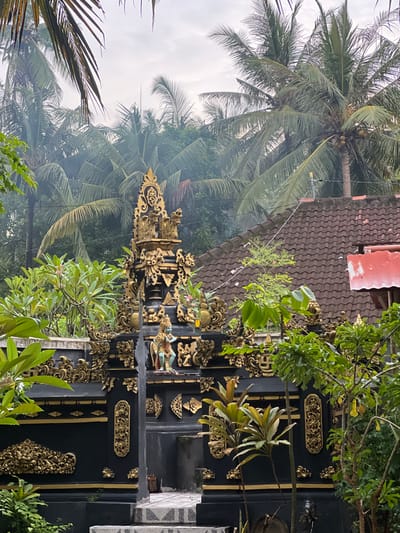 A black ornate Balinese gate with golden accents stands amidst lush greenery. Palm trees tower in the background, creating a tropical atmosphere. The gate features intricate carvings and decorative elements. A tiled roof peeks out above the gate, adding to the scene's architectural interest. Steps lead up to the gate, suggesting an entrance to a temple or other sacred space.