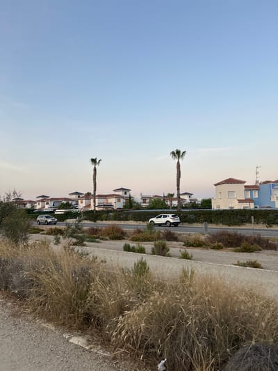 The image depicts a street scene in Playas de Vera, Spain, with a row of white houses with red-tiled roofs lining the left side of the frame, separated from the street by a dense green hedge. Two palm trees are visible between the houses. A light-colored SUV is driving on the asphalt road in the foreground, moving from left to right. In the distance, a light blue house with a red-tiled roof is visible. The sky is a clear, pale blue, indicating daytime. The foreground of the image is dominated by dry, tall grasses and scrub vegetation, with a gravel path in the lower left corner.