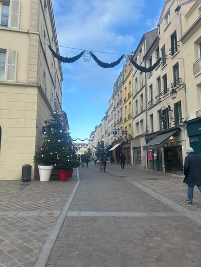 The image displays a pedestrian street in the city of Saint-Germain-en-Laye, France, under a blue sky with scattered white clouds. The street is paved with light-colored pavers in a block pattern. Multi-story buildings line both sides.
On the left, a cream-colored building features several windows, some with closed white louvered shutters. Adjacent to this building, a dark grey cylindrical trash receptacle stands on the sidewalk. Three Christmas trees, decorated with red and white baubles, are positioned in large pots; two in white pots and one in a red pot.
The right side of the street is lined with buildings exhibiting varying facades, predominantly in shades of yellow, beige, and white. These structures feature multiple windows, some equipped with dark shutters or small wrought-iron balconies. Commercial establishments occupy the ground floors, evidenced by shopfronts, a black awning, and visible signage, including one sign displaying "PATISSIER" and another featuring an "MB" logo resembling a windmill. Decorative streetlights are affixed to the building facades.
Overhead, several green garlands with white, lantern-like structures are suspended across the street.
Approximately ten to fifteen individuals are visible walking along the street. Most are moving away from the camera into the distance. In the lower right foreground, a man is walking away, wearing a dark coat, blue jeans, a white beanie, and black sneakers with white stripes. Another person further down the street is seen carrying a red bag. No explicit interactions between individuals are discernible.
