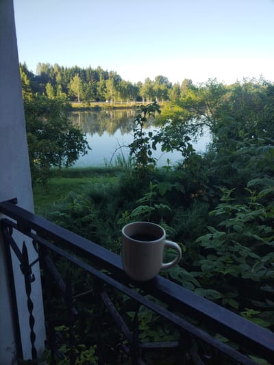 A light-colored mug filled with dark liquid sits on a dark metal railing in the foreground, with a serene lake and lush green trees reflected in its surface under a clear sky. The railing is part of a balcony or porch overlooking the lake. The trees lining the far bank of the lake are dense and varied in color, indicating a mix of deciduous and coniferous species. The water is calm, with subtle ripples suggesting a gentle breeze. The overall impression is one of tranquility and a peaceful morning scene in a natural setting. The location is Droničėnai, Lithuania.