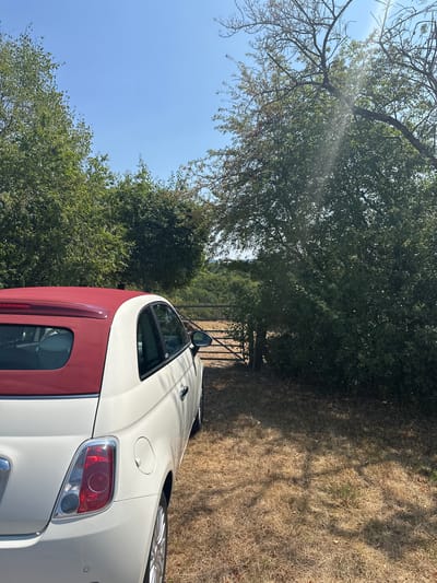 A white Fiat 500 convertible with a red soft top is parked on dry, light brown grass. The rear of the car is visible, showing the taillight and fuel cap. In the background, there is a dark metal gate set into a fence line, with lush green trees and foliage on either side. Beyond the gate, rolling hills covered in trees are visible under a clear blue sky. The sun is shining brightly, casting shadows from the trees onto the ground. The scene appears to be in a rural or semi-rural setting, possibly on the outskirts of Tandel, Luxembourg.