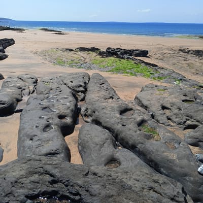 The image depicts a coastal scene at Fanore, Ireland, characterized by a sandy beach, dark volcanic rocks with pools of water, and the Atlantic Ocean under a clear blue sky. In the foreground, large, dark, eroded rocks are scattered across the wet sand, some featuring indentations filled with water. Further back, the sandy beach stretches towards the ocean, with patches of green seaweed visible near the waterline. Several people are faintly visible in the distance, appearing as small figures on the beach near the rocky outcrops. The ocean is a deep blue, with small waves reaching the shore. The overall impression is a natural, rugged coastal landscape.
