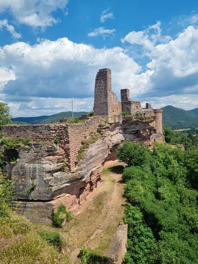 This is a landscape photograph of a medieval castle ruin perched on a rocky outcrop, set against a backdrop of lush green forests and rolling hills. The castle walls, constructed from weathered red stone, are crumbling in places, showcasing the passage of time. Several towers and sections of ramparts are still visible, hinting at the structure's former grandeur.
The scene is bathed in bright sunlight, suggesting it is daytime. The sky is a vibrant blue, dotted with fluffy white clouds, indicating fair weather. The surrounding vegetation is dense and verdant, with trees and bushes clinging to the slopes around the castle. A pathway, possibly for visitors, can be seen winding along the edge of the rock face.
There are no people or discernible activity taking place in the image. The focus is entirely on the historical architecture and the natural landscape. The imposing nature of the castle and its elevated position evoke a sense of history and perhaps a touch of awe.
The location is identified as Dahn, Germany. No visible text is present in the image. The photograph is oriented vertically.