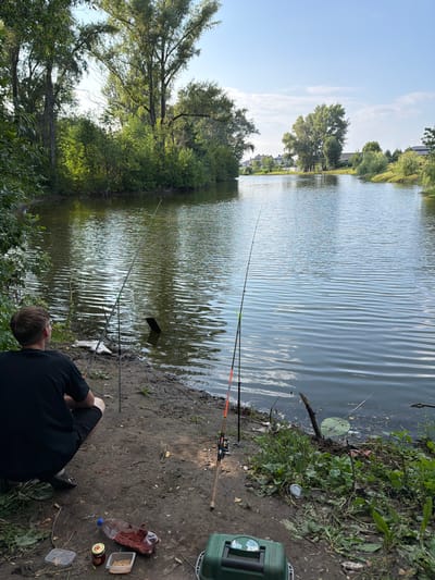 A person is fishing on the bank of a calm lake on a sunny day. The person, wearing a black t-shirt and shorts, is crouched down, facing away from the camera and towards the water. Two fishing rods are set up next to the person. On the ground near the person are a plastic bottle filled with red bait, a small jar, a container of food, and a green tackle box. The lake is surrounded by lush green trees and vegetation. In the background, houses and more trees are visible. The overall scene depicts a peaceful outdoor activity in a natural setting.