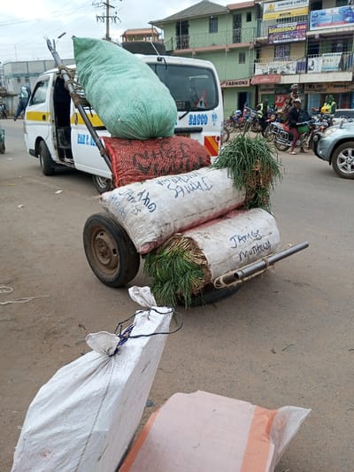 This image depicts a bustling street scene within Tala ward, Kenya, on an overcast day. In the immediate foreground, a white rectangular sack and a light orange/brown sack are partially visible on the paved road surface. The central subject is a two-wheeled metal handcart, heavily laden with goods. Atop the cart is a large, bulging light-green mesh bag. Beneath it is a red/brown mesh bag. Below these are two horizontally stacked white sacks, from which green, leafy produce (resembling spring onions) protrudes. The upper white sack bears the handwritten name "JAMES," and the lower sack is marked "JAMES MUTHURA." Behind the handcart, a white utility van, identified by "RAM P. SACCO" and "SASCO" markings and a yellow side stripe, is parked or stopped with its passenger side door open. A person's leg is partially visible near the open door. Across the street, a row of multi-story commercial buildings, painted in shades of light green and beige, house various businesses including "CINEWISE LIMITED," a "BARBERSHOP & SPA," and "FASHIONS." Numerous motorcycles are parked or moving on the road, with several individuals visible near them. A grey SUV is partially visible on the far right. Overhead utility poles and wires are present.