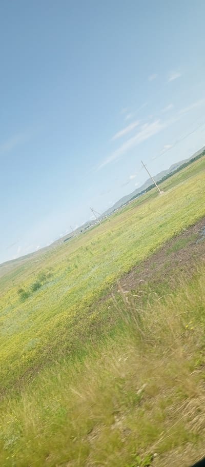 The image depicts a wide, open, grassy field under a bright blue sky with scattered white clouds. The field appears to be located in a rural or semi-rural area, with hills or mountains visible in the distance. A line of utility poles with wires stretches across the landscape, suggesting the presence of infrastructure. The grass is predominantly green with patches of yellow, indicating wildflowers or dry vegetation. The foreground shows taller, dry grass blades, and the image is taken from a slightly angled perspective, giving a sense of depth and movement, possibly from a vehicle. The environment is natural and expansive, with no visible people or specific structures within the main field area. The scene is peaceful and depicts a vast, natural landscape.