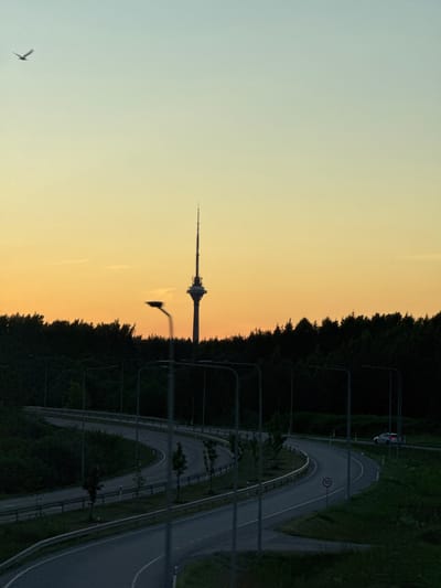In the city of Nehatu, Estonia, a serene sunset paints the sky in hues of orange and pale blue. A tall, slender tower, likely a telecommunications tower, pierces the horizon. Below it, a dense, dark forest forms a stark contrast against the vibrant sky. A winding road curves through the foreground, illuminated by streetlights. A lone bird soars in the upper left corner of the frame. A car is visible driving on the road in the middle right of the image, its brake lights illuminated. The scene captures a moment of tranquil beauty on the outskirts of the city.