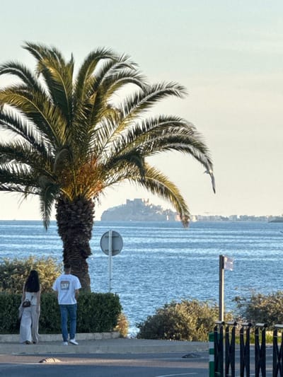 Captured from a slightly elevated perspective in Vinaròs, Spain, the image presents a coastal scene. A palm tree dominates the foreground, its fronds extending upwards. Behind the palm, the Mediterranean Sea stretches out, reflecting the sky. In the background, the cityscape of Vinaròs is visible. Along the road, adjacent to the sea, two people stand: one wearing a white shirt and jeans, and the other in light-colored attire. A street light and lush vegetation line the road.