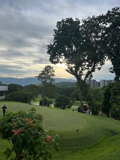 The image depicts a golf course scene in Floridablanca, Colombia, observed during either sunrise or sunset due to the low sun angle and warm light filtering through trees.
The foreground is dominated by lush, manicured green grass, which slopes gently before leveling into a putting green in the mid-left. In the immediate lower foreground, a leafy green plant with clusters of pinkish-red flowers is partially visible.
On the putting green, marked by several red and white golf flags, a male individual is visible. He is dressed in dark golf attire, standing, and appears focused downwards, likely engaged in or observing a putting action. Multiple white golf balls are scattered on this green. To the right of the putting green, on a grassy slope, a single dark-feathered bird is present.
In the midground and background, the golf course extends across rolling hills covered in dense, dark green foliage from numerous trees. A prominent, large tree with a thick canopy and visible vines on its trunk partially obscures the low-lying sun in the upper right. On the far left, a modern, light-colored building with large windows, likely a clubhouse facility, is partially visible. Further in the distance, a cluster of multi-story urban buildings is discernible against the horizon. The sky is partly cloudy with layered clouds. Faintly visible golf carts and other structures are present on the distant parts of the course.
