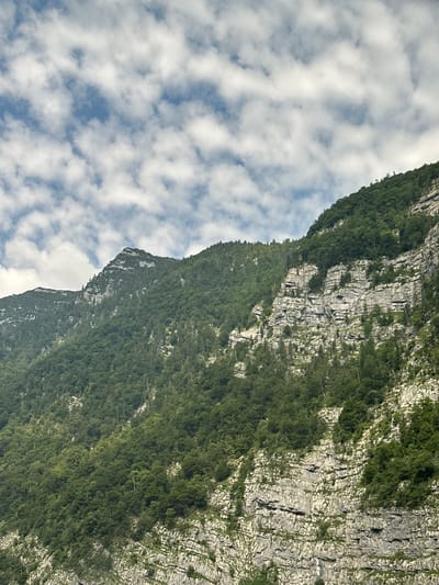 The image captures a dramatic, sunlit view of a lush green mountainside adjacent to a sky filled with fluffy white clouds. The mountain is characterized by its steep, rocky face, partially covered by dense vegetation. The rocky cliffs are textured and appear ancient, with visible layers and crevices. The green foliage, likely trees and shrubs, clings to the slopes, creating a vibrant contrast with the grey stone.
The perspective is from below, looking upwards and across the mountain. The angle of the shot is slightly tilted, adding to the sense of scale and grandeur. The sky is a clear blue with scattered cumulus clouds, suggesting fair weather. The lighting indicates it is daytime, with sunlight illuminating the mountain and highlighting its rugged features.
While the image is dominated by the natural landscape, the absence of people or man-made objects suggests a remote or natural setting. The overall mood is one of natural beauty and vastness. The location context of Golling an der Salzach, Austria, points to a mountainous region known for its scenic landscapes. There is no visible text in the image.