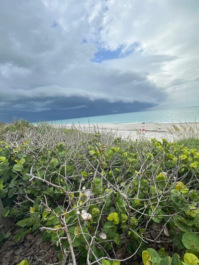 The image depicts a beach scene in Melbourne Beach, Florida, United States of America. In the foreground, dense, low-lying green foliage with bare, branching stems occupies the lower portion of the frame. Beyond the vegetation, a sandy beach stretches horizontally, meeting the ocean. The water appears a light turquoise color. In the distance, a lifeguard stand with red and white markings is visible on the sand. The sky is overcast with dramatic, dark storm clouds forming on the horizon, contrasting with patches of lighter sky. The overall impression is of an approaching storm.